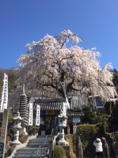 第10回