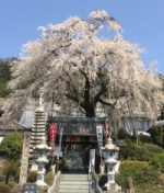 2015年3月分月次報告