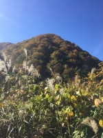 2015年10月分月次報告