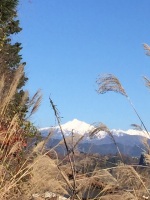 月暦 2016年12月