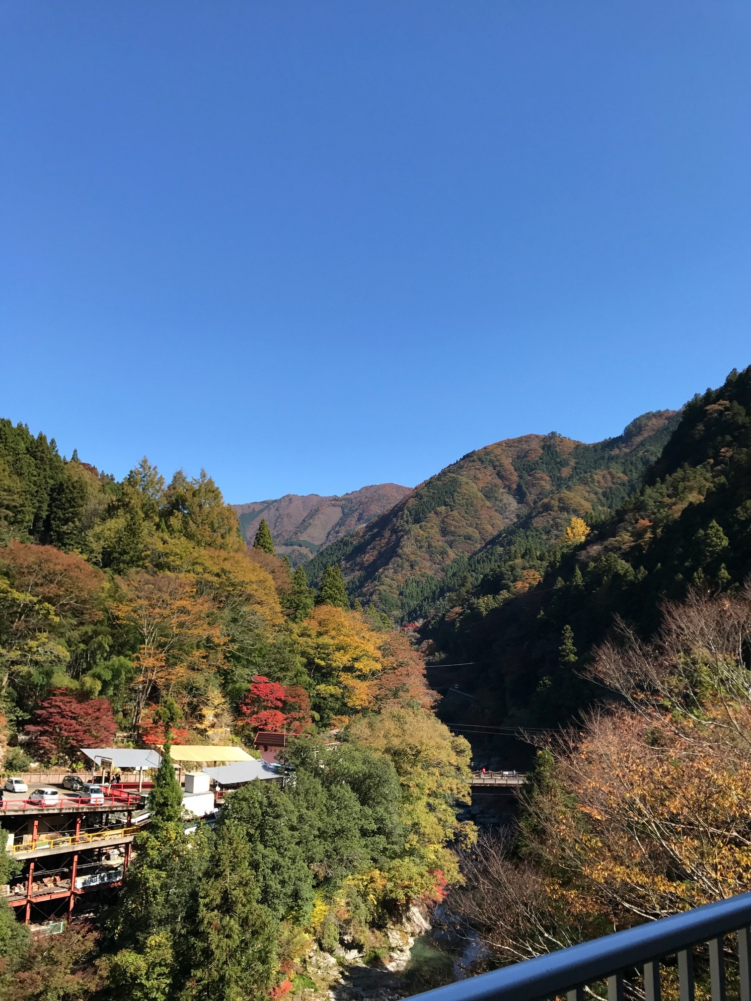 月暦 2017年11月