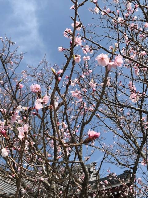 月暦 2018年4月