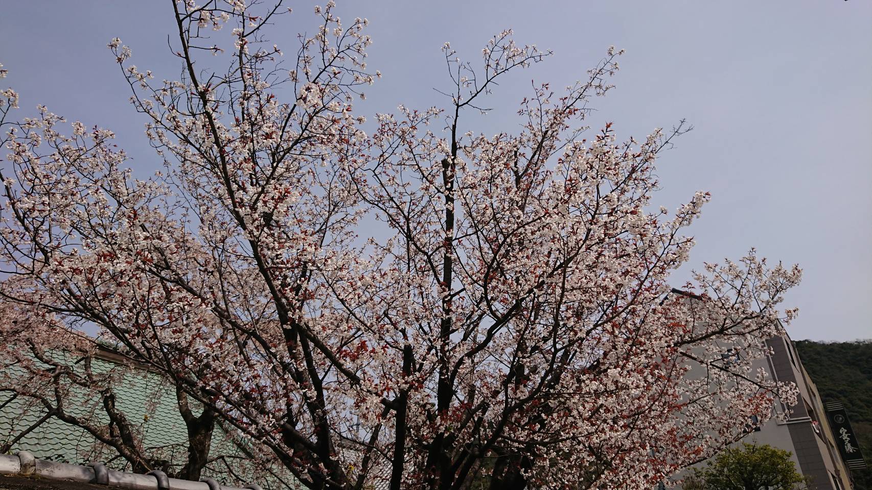 月暦 2019年4月